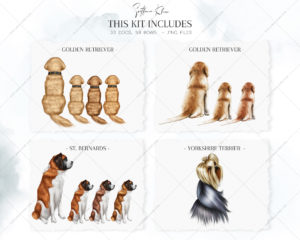Dogs Clip Art, Golden Retriever PNG, Kurzhaar, Shih Tzu, St. Bernards, Spaniel