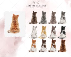 Cats Clip Art, Kittens, Cat Portrait, Orange Cats