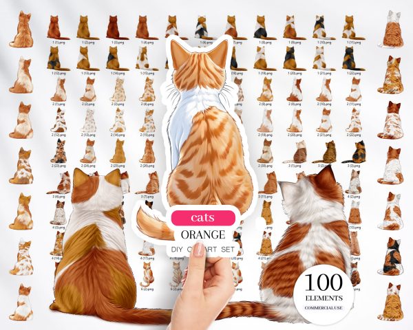 Orange Cats Clipart