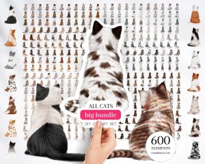 Cats Clipart Bundle