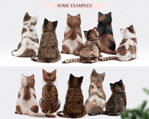 Brown Cats Clipart