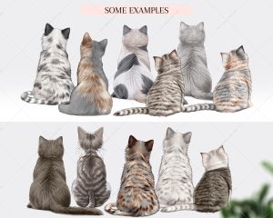 Gray Cats Clipart