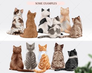 Cats Clipart Bundle