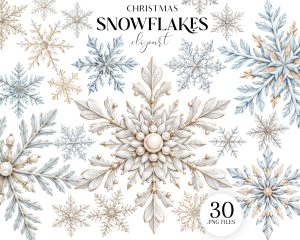 Snowflakes Clipart