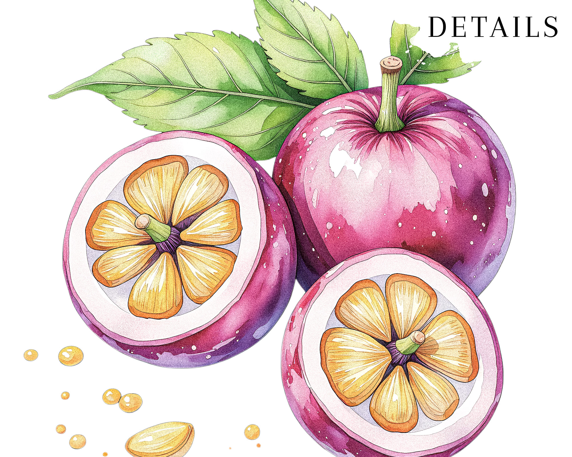 Colorful Fruits Clipart Colorful Fruits Clipart - Image 9