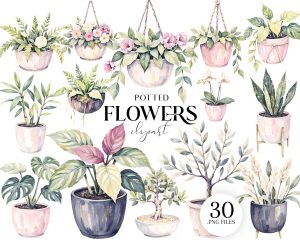 Watercolor Potted Flowers Clipart Set